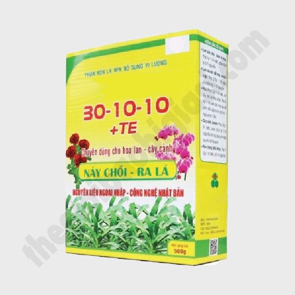 HỘP GIẤY 