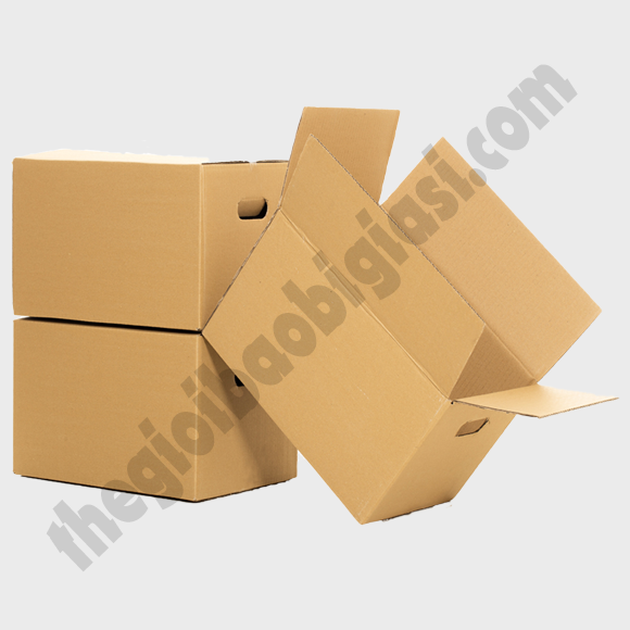 THÙNG CARTON 5 LỚP